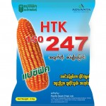 HTK 150 247