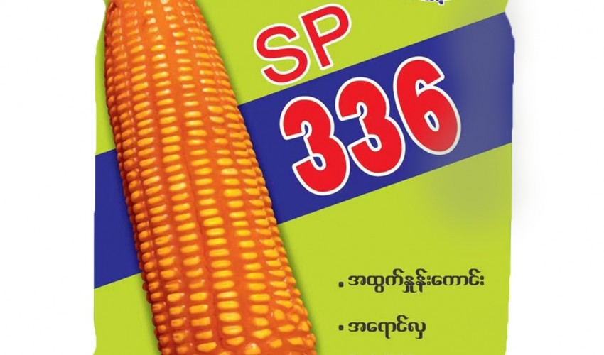 SP 336