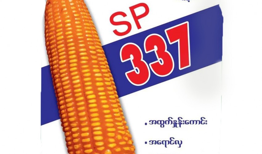 SP 337